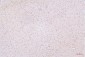 Anti-HMGB1 Antibody Picoband™ (monoclonal, 5H3)